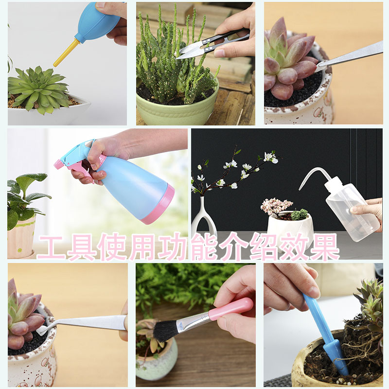 极速多肉种植工具k套装组合种盆栽起苗器养花气吹弯嘴捏壶园艺浇
