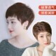 纹理烫自然蓬松新款 新品 假发短发女真发全真人发圆z脸女士妈妈款