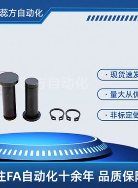 MIC11-D3 D4 D5 D6 D8 D10-L10 12 14 15 HCCG 带肩铰链销 挡圈型