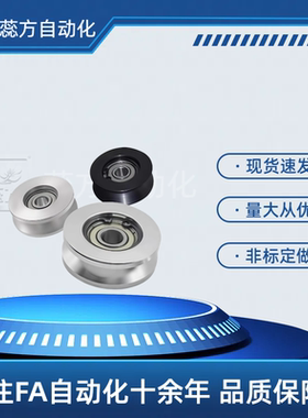 WBSN WBSB WBS-D20 D30 D40-Z3 5 6-d3 5 8 10 12  V型导向轮