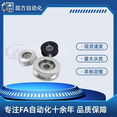 WBSN WBSB WBS-D20 D30 D40-Z3 5 6-d3 5 8 10 12  V型导向轮