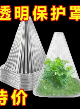 速发重复使用专用方形大棚使用钟物苗罩免受鸟类霜冻伤害绿色育植