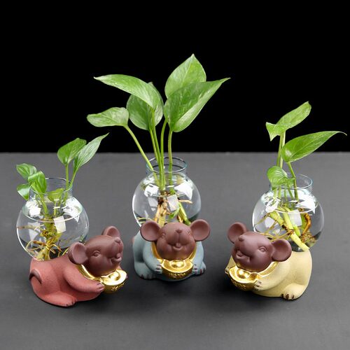 速发创意绿萝水培花瓶玻璃器皿透明水养插花小花盆招财鼠桌面摆件