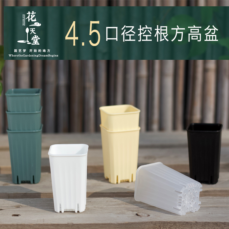 速发4.5口迷你拇指多肉塑料控方象花盆可配托盘浸水架育苗高养省
