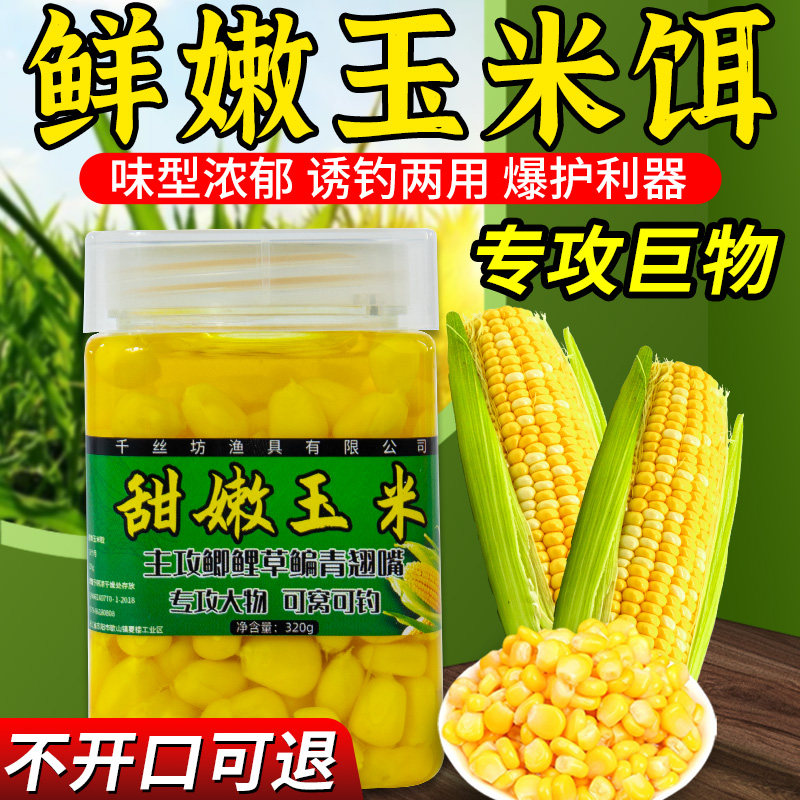 速发物鱼甜嫩玉米饵料野钓打窝蓝鲤鱼草鱼鳊鱼翘嘴大钓料