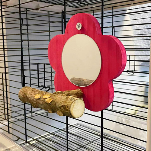 速发鸟镜子 站台鹦鹉玩具用品套装台鹦鹉磨脚棒鹦鹉鸟玩具 鸟用镜