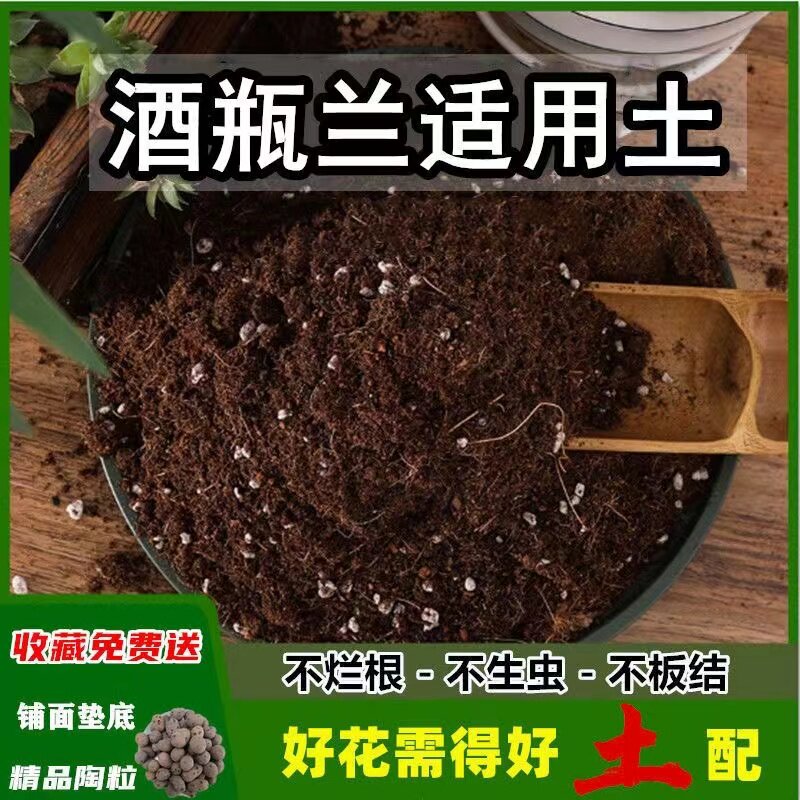 速发养瓶兰土家用酒花有机土壤种土植肥料种花盆栽土酒瓶兰营养土