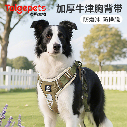 狗狗胸背带中大型牵引绳
