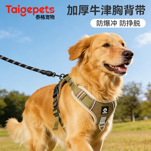 金毛狗狗中型犬胸背带牵引绳