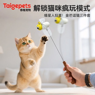 CFA赛级逗猫棒长杆猫咪玩具自嗨解闷气味丰容耐咬可替换头带铃铛