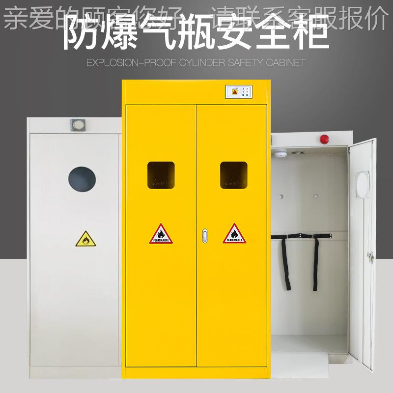全钢气瓶柜 报警气瓶柜 钢瓶柜 全钢气瓶防爆柜 气瓶存放柜实验柜