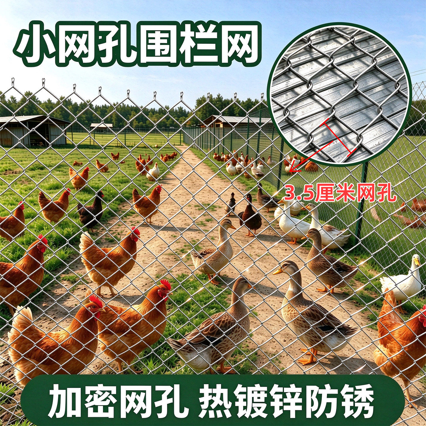 小孔热镀锌铁丝网围栏养殖网鸡羊钢丝网铁网格网勾花网果园防护网