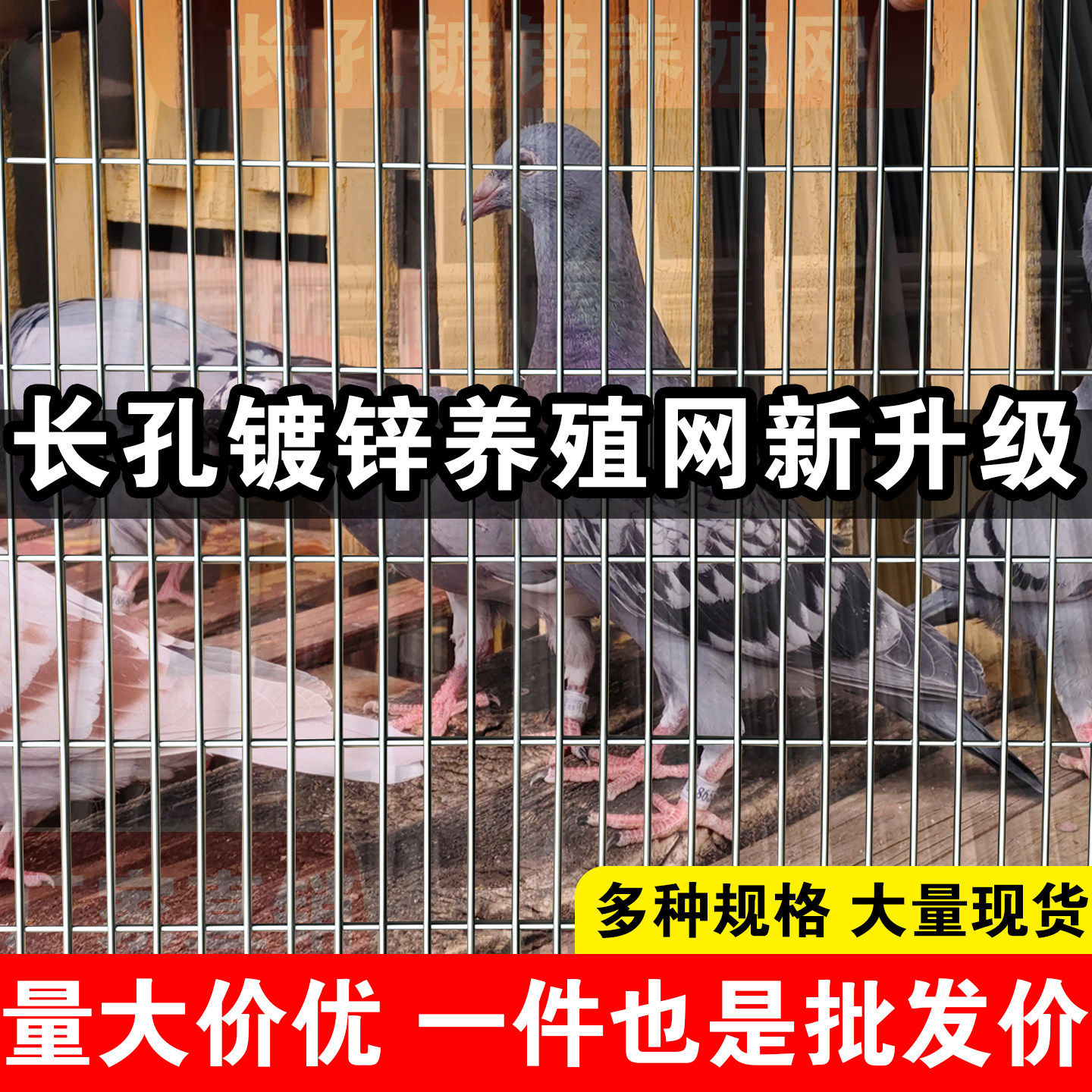 镀锌钢丝网片围栏狗笼加粗铁丝网鸽舍加密小孔建筑铁网格养殖栏栅