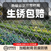 不生锈 铁丝网格镀锌钢丝网围栏菜园护栏网家用养鸡防护养殖铁网