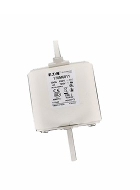 170M6081 170M6082 170M6083 170M6084 FWJ-50A全新现货 熔断器