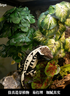 守宫造景睫角盖勾亚豹纹蜥蜴树蛙仿真绿植爬宠攀爬叶子悬浮窝饮水