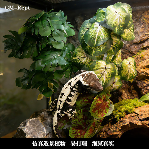 爬宠造景仿真绿植攀爬叶子
