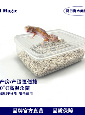 爬宠孵化盒无介质繁殖蜥蜴睫角龟蛋孵化守宫产房下蛋盒珍珠岩蛭石