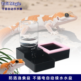 守宫食盆水盆豹纹肥尾瘤尾自动喂水器喂食防逃盆爬虫爬宠用品