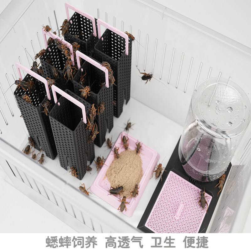 蟋蟀饲养箱盒饮水昆虫喂水器食盆油葫芦躲避杜比亚饲养架用具用品,宠物/宠物食品及用品,爬宠躲避/造景,淘宝优惠券,粉丝福利购,淘宝优惠卷