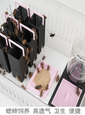 蟋蟀饲养箱盒饮水昆虫喂水器食盆油葫芦躲避杜比亚饲养架用具用品