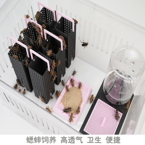 蟋蟀饲养箱盒饮水昆虫喂水器食盆油葫芦躲避杜比亚饲养架用具用品