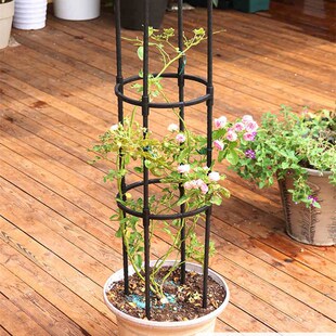 速发园艺绿植11MM爬藤架室外之线架月季铁花莲户外花卉攀爬架子支