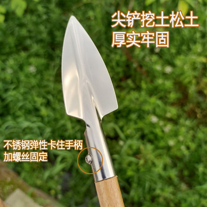 速发小尖铲子花铲松土耙子多肉兄啊花盆用家用养花工具台不锈钢精