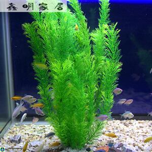 速发大号塑料柔软大型草水柔饰绿色植物花草鱼缸内装软品摆设造景