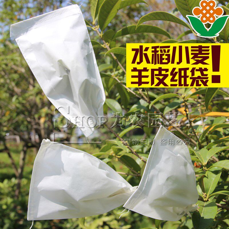 速发羊皮纸袋杂交袋硫酸袋植物园艺套袋授粉隔离套育种袋果实套袋