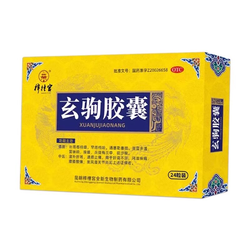 梓橦宫玄驹胶囊 0.5g*24粒/盒 滋补肝肾通痹止痛类风湿关节炎
