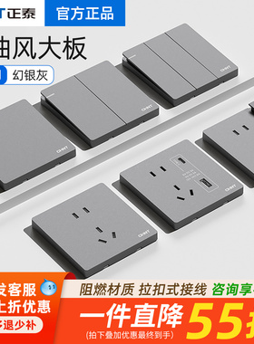 正泰开关插简约风暗装86型一开单控5五孔usb墙壁家用灰色面板6R