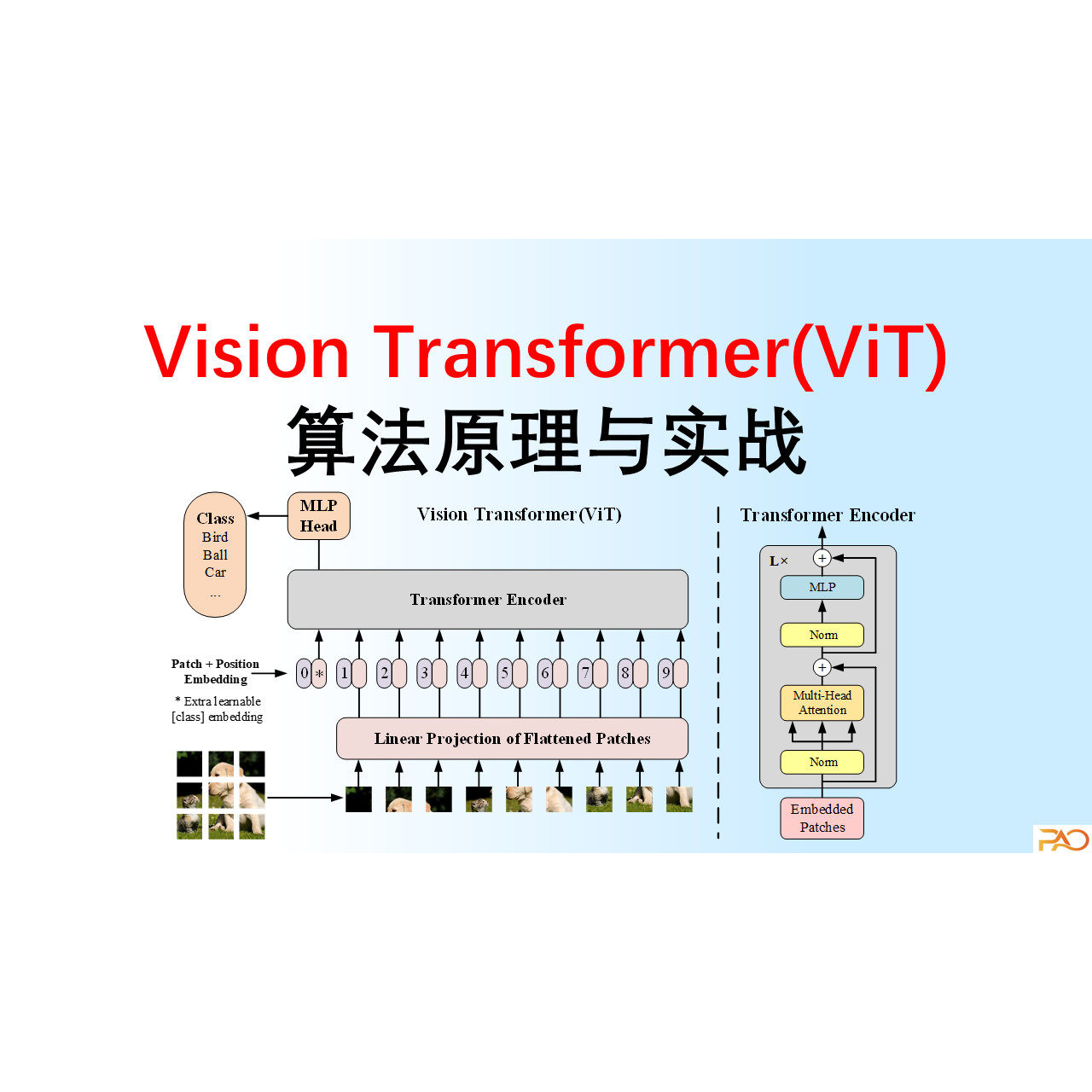 ViT算法原理与实战课件与源码
