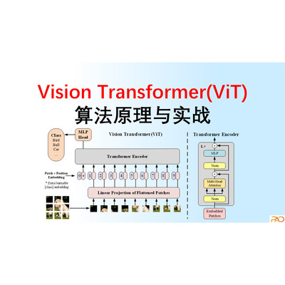 炮哥带你学ViT算法手把手教学