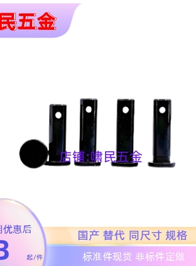 带肩铰链销MIB01 HCMG MIB11 HCLGN3 4 5 6 8 10 12开口销固定型