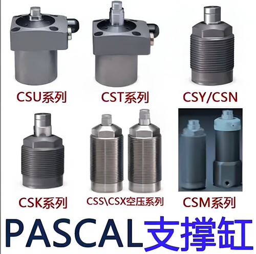 原装日本PASCAL油缸CMC06-15/40 CMC10-10 CMC03-15R   CSW10M-L