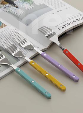 【韩国原单】韩式Cher餐叉食品级304不锈钢PC手柄大叉小酒馆ins风