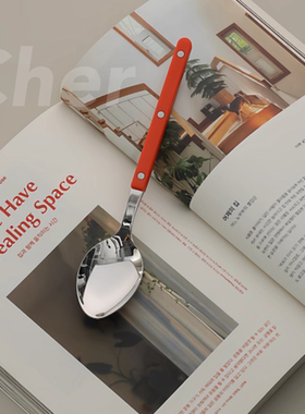 【韩国原单】韩式Cher餐勺食品级304不锈钢PC手柄大勺小酒馆餐具