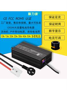 12V24伏磷酸铁锂电池充电器15A20a10A12.6V14.6V29.2V三元锂快充