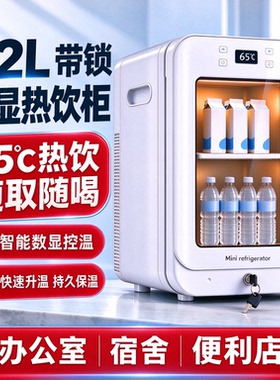 冬季迷你便携恒温加热保温箱