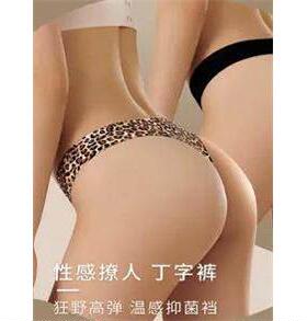 Women' s Seamless Underwear Ladies Leopard Panties Femal