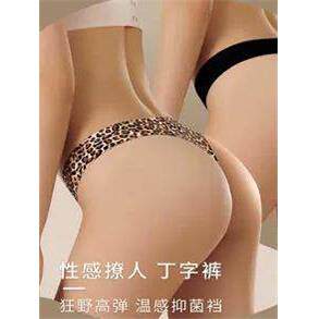 Women' s Seamless Underwear Ladies Leopard Panties Femal