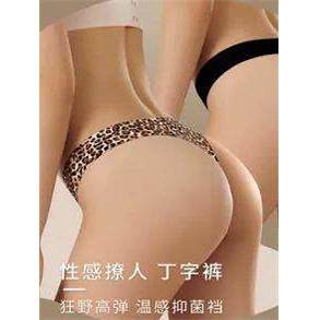 Women' s Seamless Underwear Ladies Leopard Panties Femal