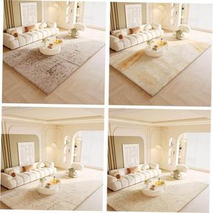 carpet living rugs rug 客厅地毯 floor home mat carpets room
