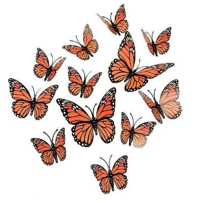 Attractive Room Decor Butterfly Sticker Exquisite Butterfly