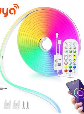 12V LED Strip Neon Lights Tuya Smart Life WiFi Bluetooth RGB