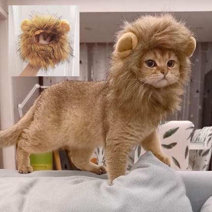 Cute Lion Mane Cat Wig Hat For Dogs And Cat Small Dog Pet Ca