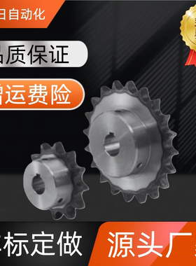 链轮 40B/ SP40B30-N-20/22/24/25/28/30/32/35/SP40B30-N-40链条