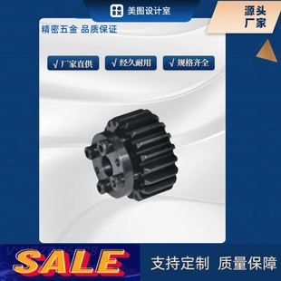 1.0 3840 直齿轮 B10 免键 VNS21
