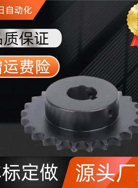 链轮 50B/SP50B13-N-15/16/17/18/19/20/22/24/25/28/30/32 链轮